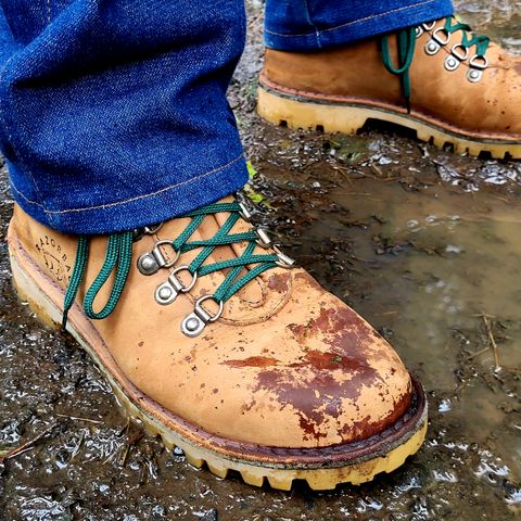 Jim Green Razorback in Fudge Crazy Horse