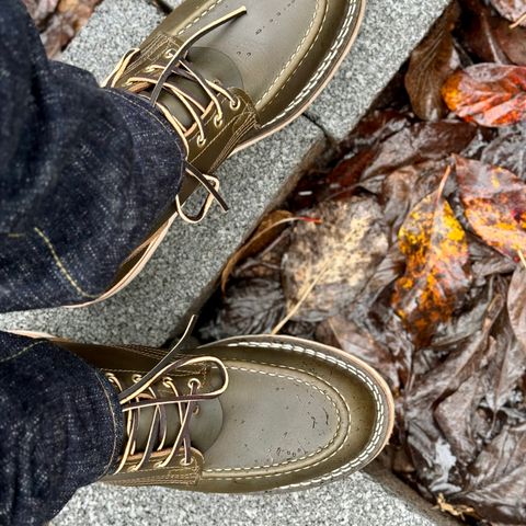 Nicks Moc Toe in Shackleton Greener Pastures