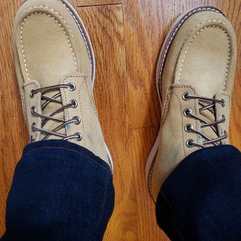 Red Wing 6-Inch Classic Moc in S.B. Foot Hawthorne Abilene
