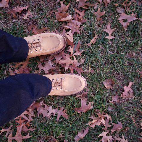 Red Wing 6-Inch Classic Moc in S.B. Foot Hawthorne Abilene