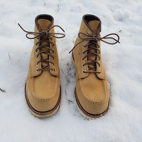 Red Wing 6-Inch Classic Moc in S.B. Foot Hawthorne Abilene