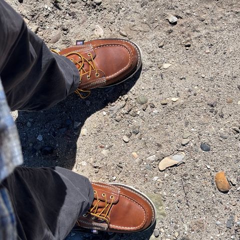 Thorogood American Heritage 6" Moc Toe in Tobacco Gladiator Oil-Tanned