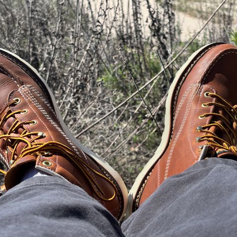 Thorogood American Heritage 6" Moc Toe in Tobacco Gladiator Oil-Tanned