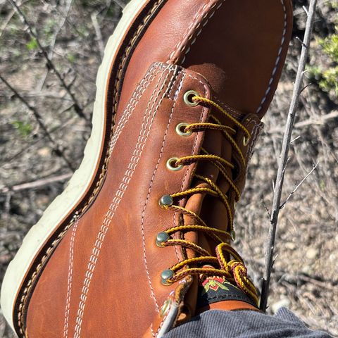 Thorogood American Heritage 6" Moc Toe in Tobacco Gladiator Oil-Tanned