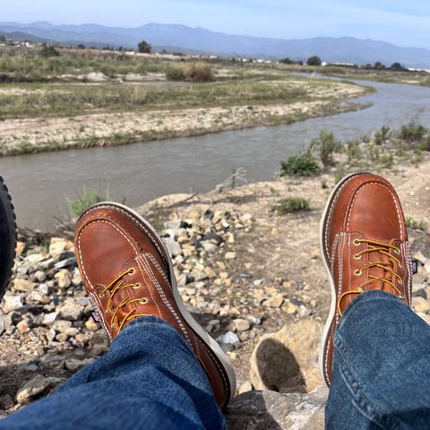 Thorogood American Heritage 6" Moc Toe in Tobacco Gladiator Oil-Tanned