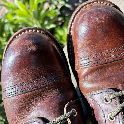 Red Wing Iron Ranger in S.B. Foot Copper Rough and Tough