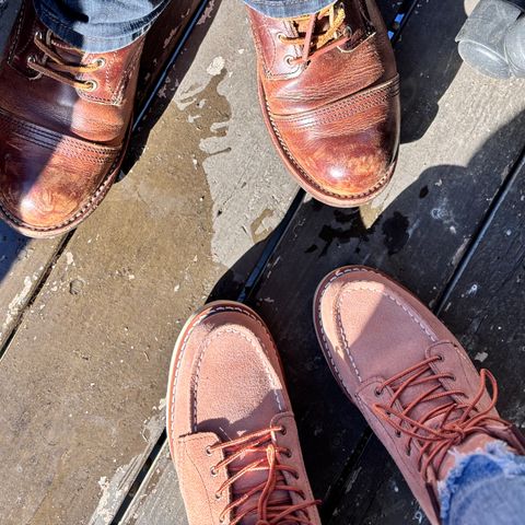 Red Wing Iron Ranger in S.B. Foot Copper Rough and Tough