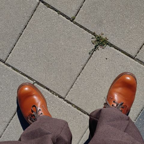 View photo of Red Wing Work Oxford in S.B. Foot Brick Settler