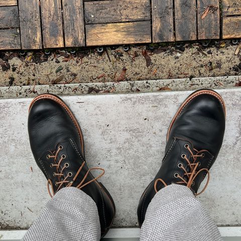 Red Wing Blacksmith in S.B. Foot Black Prairie