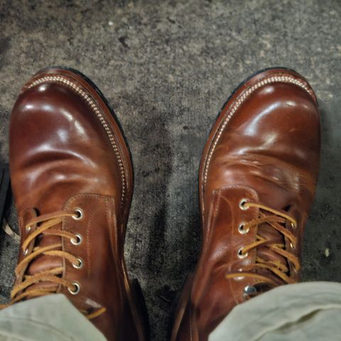 Renav BS - 205 in Indonesian Red Brown Pull Up