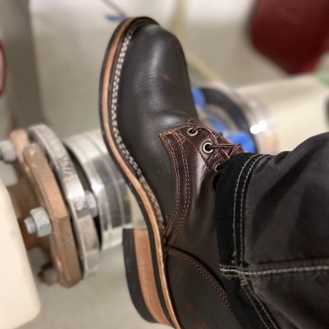 View photo of Frank's Boots Wilshire in Seidel Mocha Oil Tan