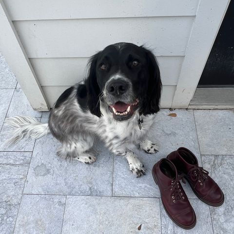 View photo of John Lofgren Combat Boots in Horween Burgundy Chromexcel