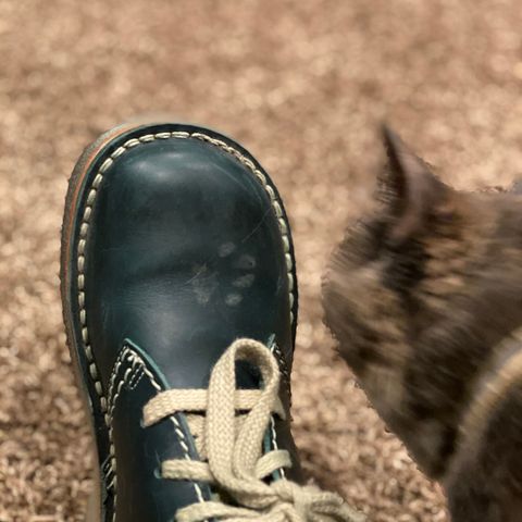 Duckfeet Faborg in Terracare Green