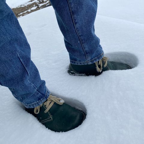 Duckfeet Faborg in Terracare Green