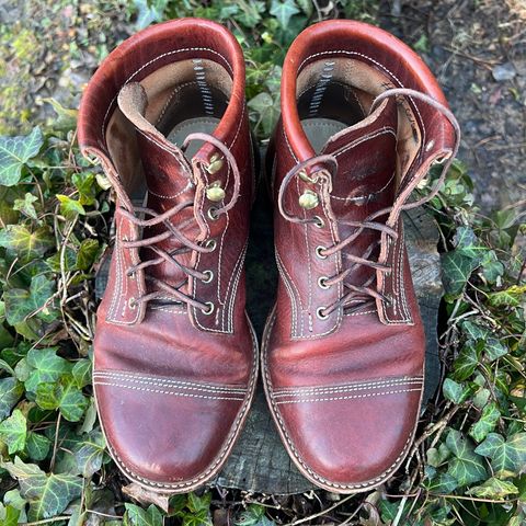 Kustom Kraft Model 1 in Kobel Russet Harness