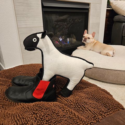 Duckfeet Roskilde in Terracare Black