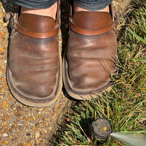 Oak Street Bootmakers Country Loafer in Horween Natural Chromexcel