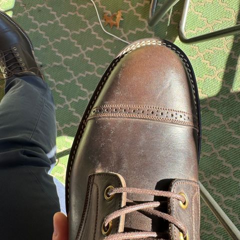 Onderhoud SVC03 Service Boot in Maryam 1071 Rovescio Sego Horsebutt