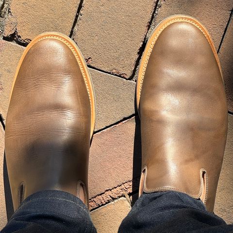 View photo of Viberg Slipper in C.F. Stead Clove Regency Calf