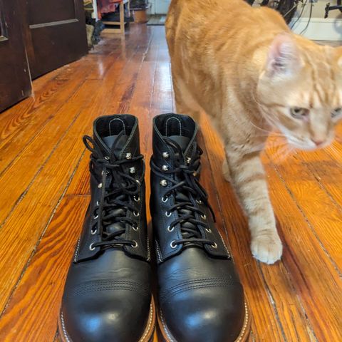 Red Wing Iron Ranger in S.B. Foot Black Harness