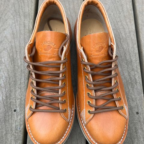 Zerrows Boneakers Low in Light Brown Douglas