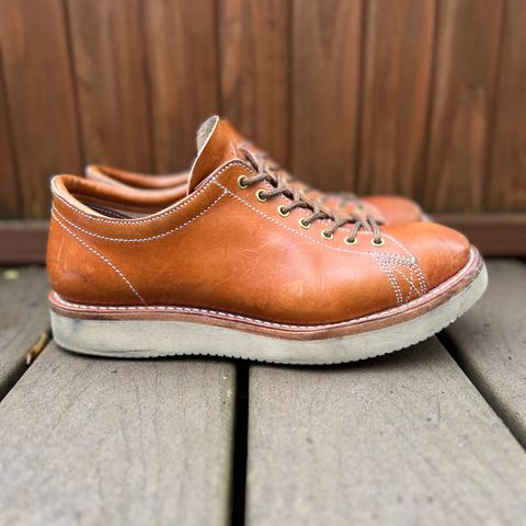 Zerrows Boneakers Low in Light Brown Douglas
