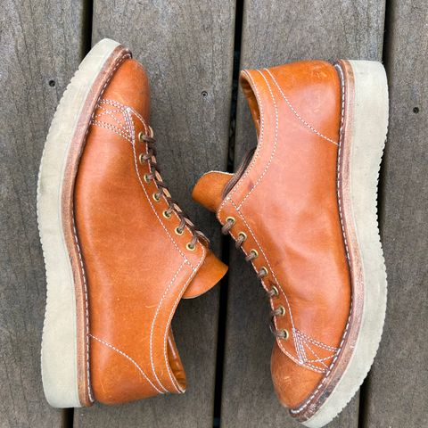 Zerrows Boneakers Low in Light Brown Douglas