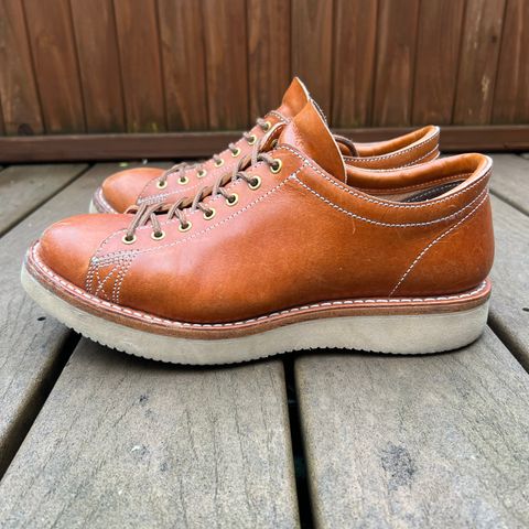 Zerrows Boneakers Low in Light Brown Douglas