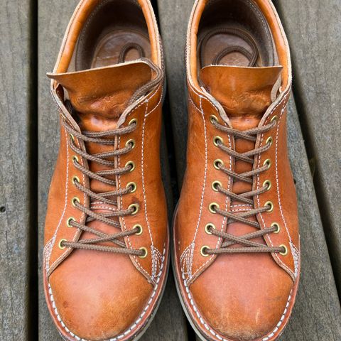 Zerrows Boneakers Low in Light Brown Douglas