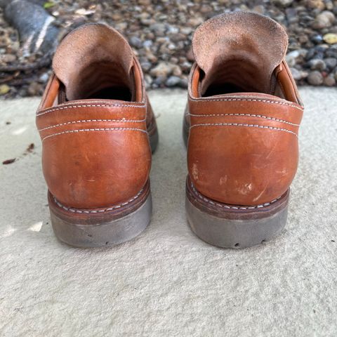 Zerrows Boneakers Low in Light Brown Douglas