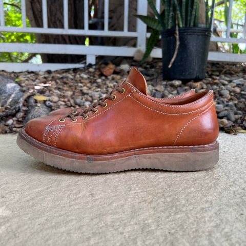 Zerrows Boneakers Low in Light Brown Douglas