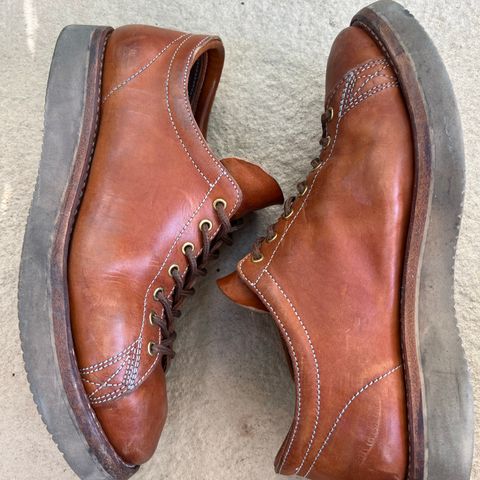 Zerrows Boneakers Low in Light Brown Douglas
