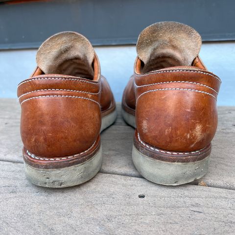 Zerrows Boneakers Low in Light Brown Douglas