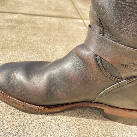 Mister Freedom Road Champ in Black Veg-Tanned Cowhide
