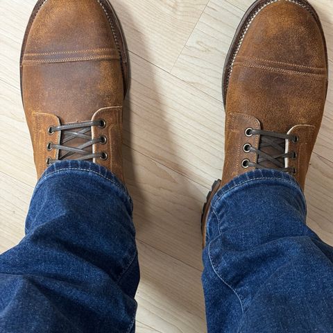 Viberg Service Boot PCT in Horween Golden Brown Predator Roughout