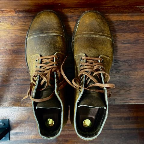Viberg Service Boot PCT in Horween Golden Brown Predator Roughout