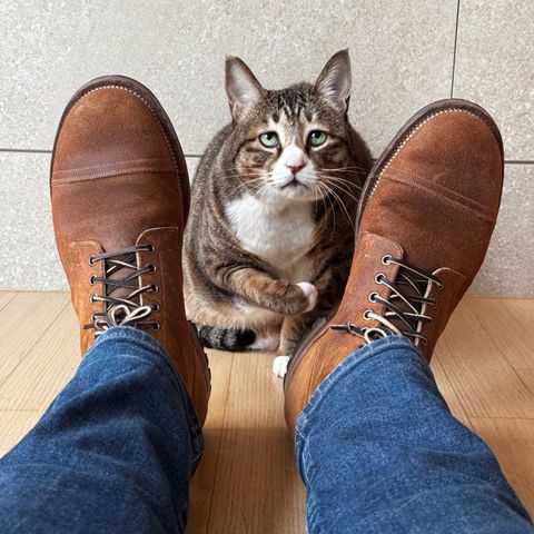 Viberg Service Boot PCT in Horween Golden Brown Predator Roughout