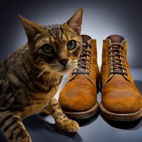 View photo of Viberg Service Boot PCT in Horween Golden Brown Predator Roughout