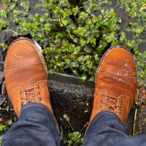 View photo of Viberg Service Boot PCT in Horween Golden Brown Predator Roughout