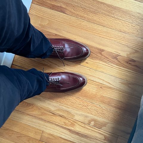 Meermin Split Toe Derby in Du Puy Burgundy Box Calf