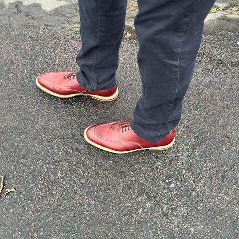 Meermin Split Toe Derby in Du Puy Burgundy Box Calf