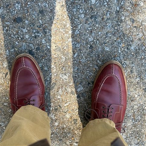 Meermin Split Toe Derby in Du Puy Burgundy Box Calf