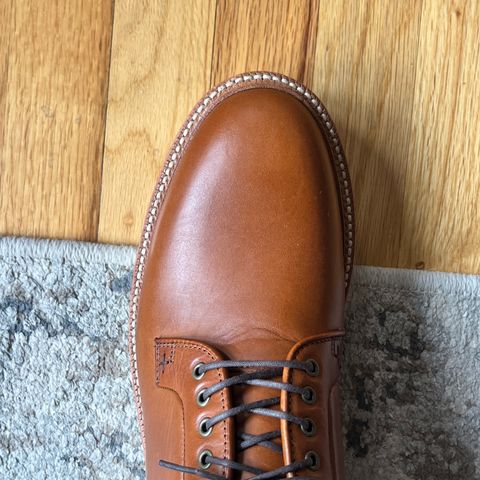 Grant Stone Plain Toe Blucher in Badalassi Carlo Saddle Tan Minerva