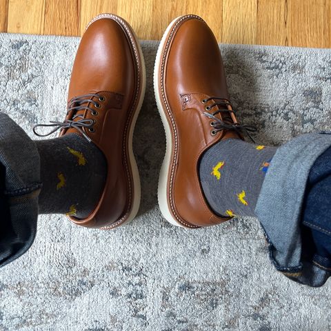 Grant Stone Plain Toe Blucher in Badalassi Carlo Saddle Tan Minerva