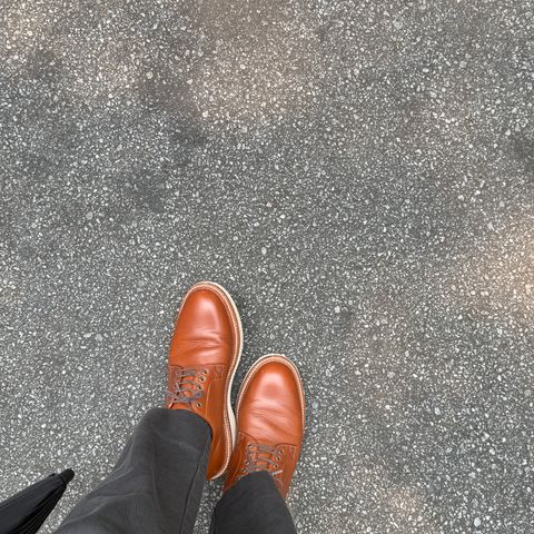 Grant Stone Plain Toe Blucher in Badalassi Carlo Saddle Tan Minerva
