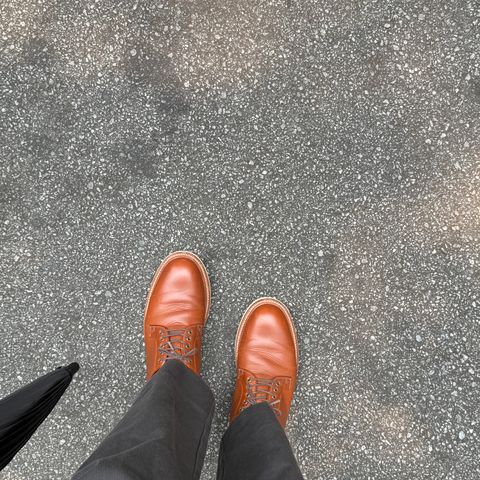 Grant Stone Plain Toe Blucher in Badalassi Carlo Saddle Tan Minerva