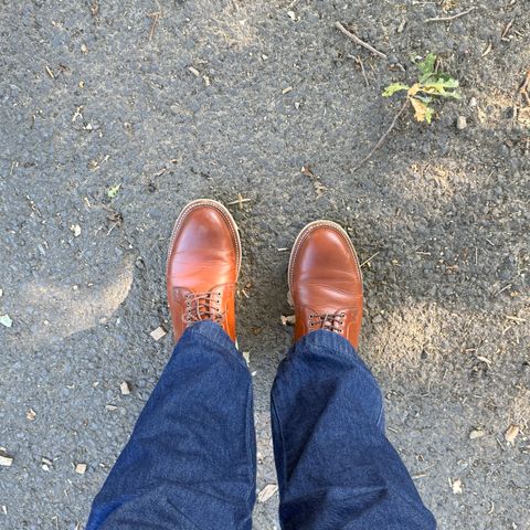 Grant Stone Plain Toe Blucher in Badalassi Carlo Saddle Tan Minerva