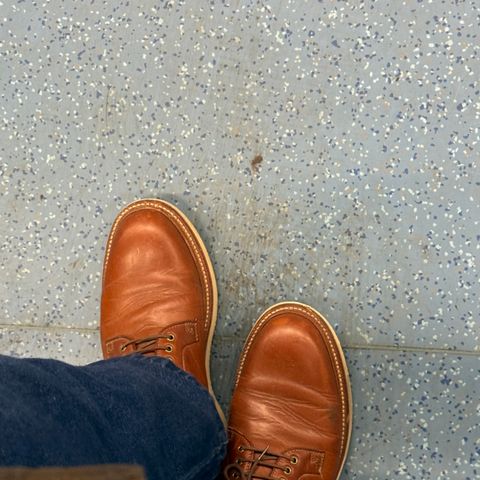 Grant Stone Plain Toe Blucher in Badalassi Carlo Saddle Tan Minerva