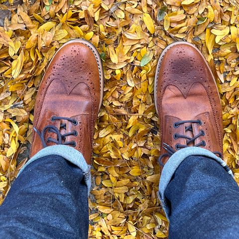 Mark Albert Countrty Boot in C.F. Stead Caramel Classic Kudu