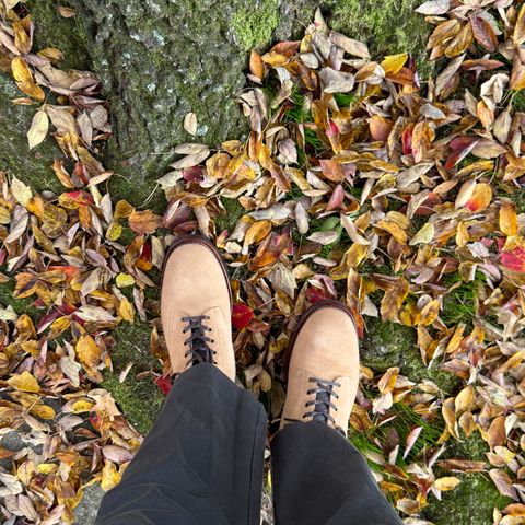 Sagara Boondockers in Conceria Cloe Superlux Reverse Horsebutt